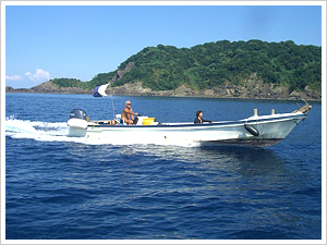 �C��y���_�C�r���O�{�[�g1����