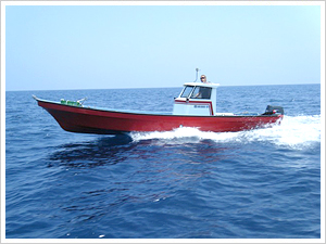 �C��y���_�C�r���O�{�[�g2����