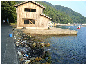 �u�K�r�[�`