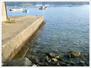 �u�K�r�[�`