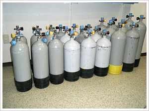 �g�p�^���N